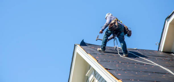 Best Roof Maintenance Services  in Wood River, NE